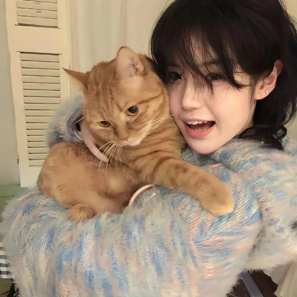 碧丽莎的情人